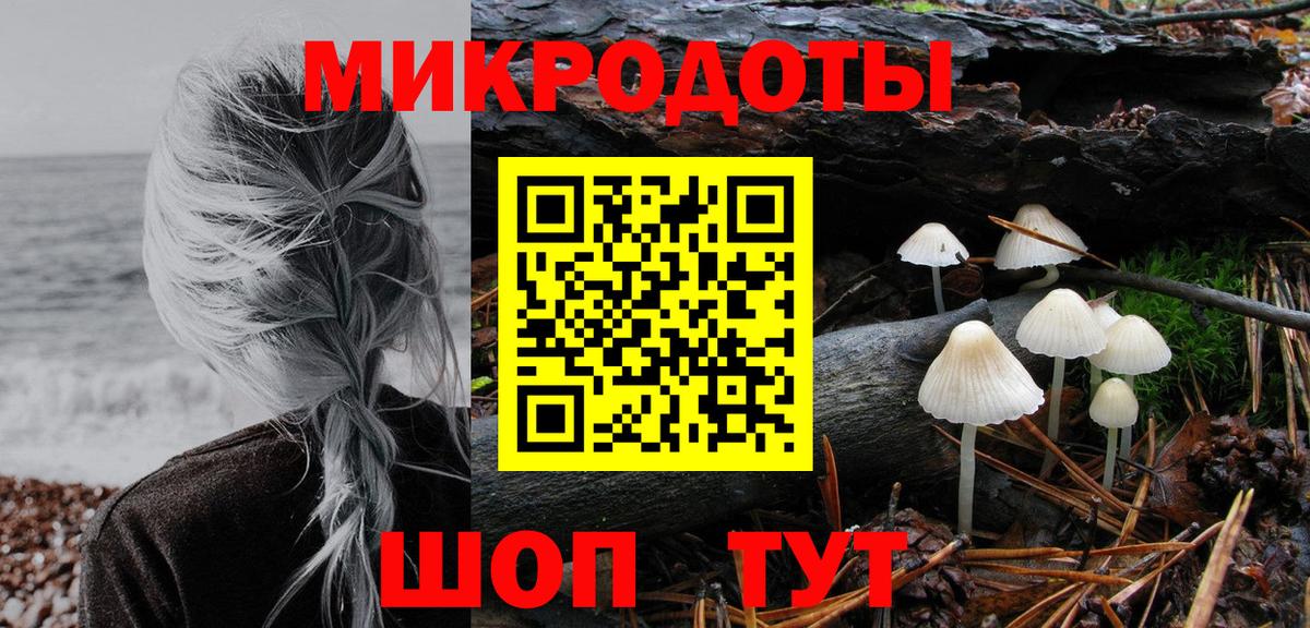 Бузулук  Галлюциногенные грибы Cubensis  Вход с VPN 